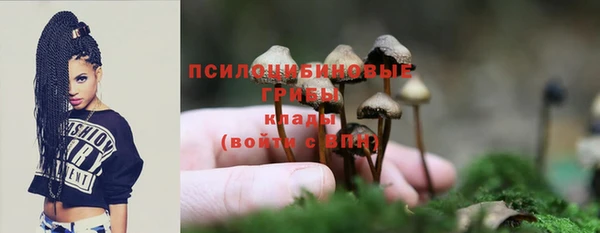 героин Богородицк