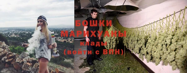 mdpv Богданович