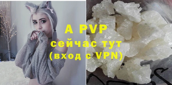 mdpv Богданович