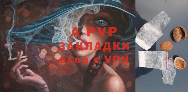 амфетамин Белокуриха
