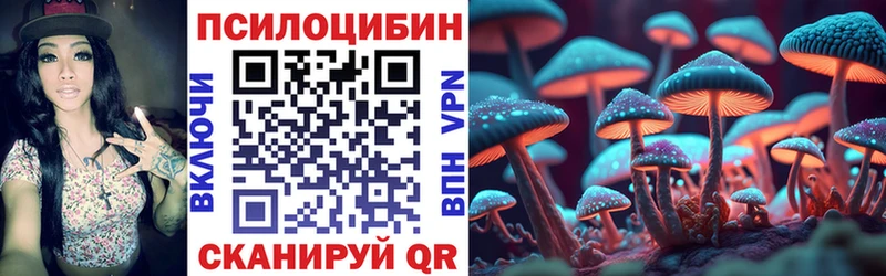 цена   Сковородино  darknet формула  Псилоцибиновые грибы ЛСД 