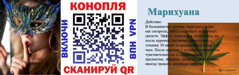 Конопля MAZAR Сковородино